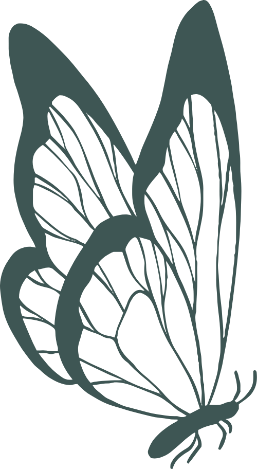 Bươm bướm, bướm, butterfly, line, hand draw