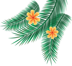 Mùa hè, summer, biển, sea, lá, cỏ,leaves, grass