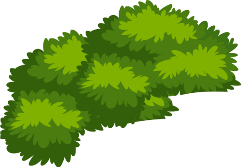 Lá, cỏ, grass, đám cỏ, bụi cây