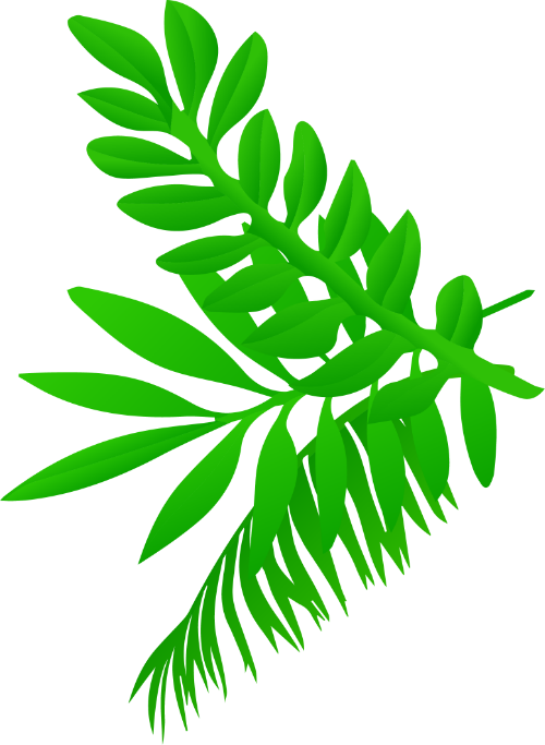 Mùa hè, summer, biển, sea, lá, cỏ,leaves, grass 1