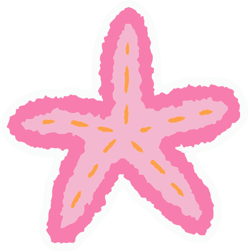 Summer, mùa hè, biển, ngôi sao, sao biển, star, starfish