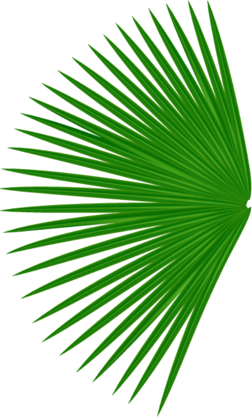 Lá, lá cây, lá xanh, leaf 2