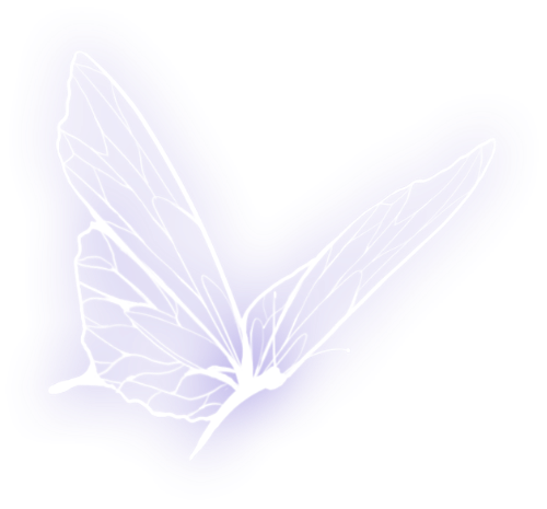Bướm, butterfly 6