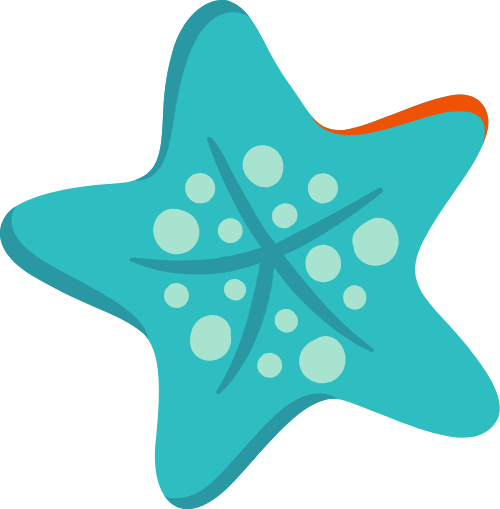 Mùa hè, summer, biển, sea, sao biển,starfish 2