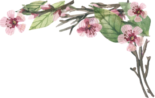 Hoa, flower, water color, màu nước