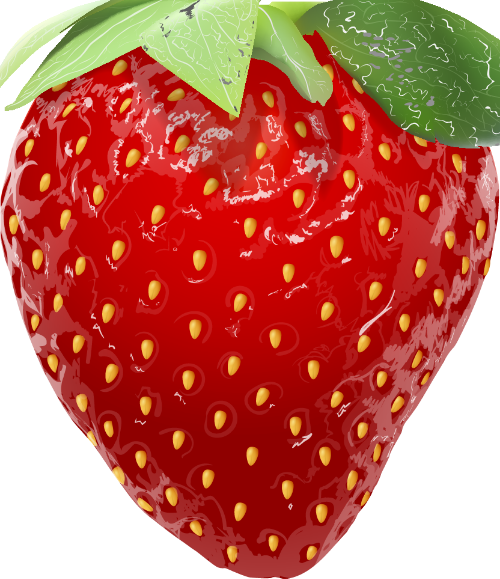 Dâu,strawberry