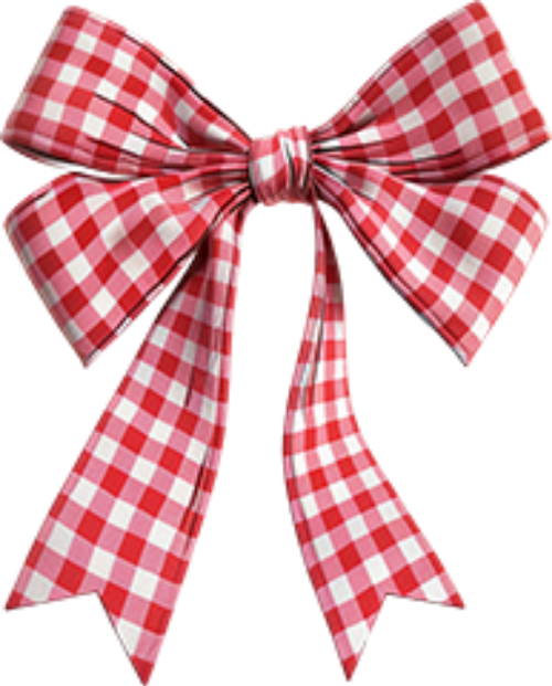 Nơ, kẹp tóc, caro,Bow, hair clip, plaid 1