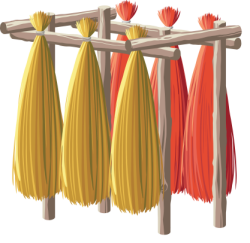 Chiếu, cây lác, cây cói, cây mây,Mat, leaf plant, sedge, rattan 3