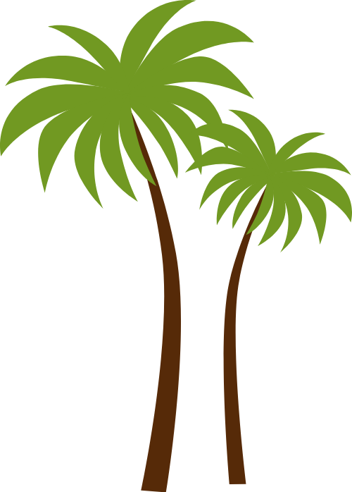 Mùa hè, summer, biển, sea, du lịch, cây dừa, coconut 1