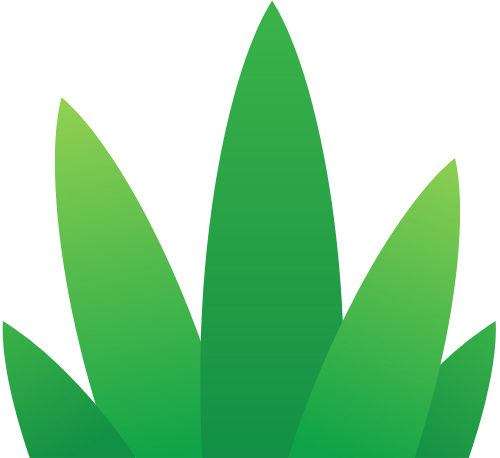 Thiên nhiên, lá cây, lá, cây xanh, tree 1