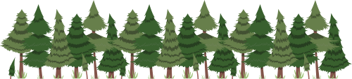 Cây thông, thông, pine, rừng, forest