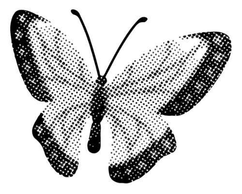 Shape, scrapbook, giấy, paper, vintage, craft, bươm bướm, bướm, butterfly
