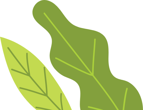 cỏ, lá,grass, leaves