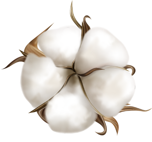 Sợ bông, hoa,Cotton, flowers, fabric, sợi bông, hoa,vải 2
