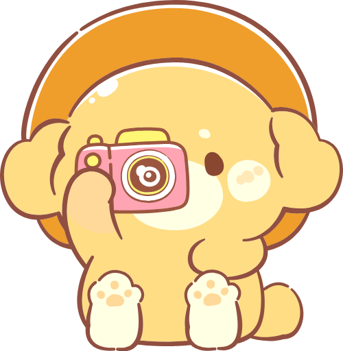 Du lịch, travel, động vật, pet, cute, dễ thương, cún, chó, dog, puppy