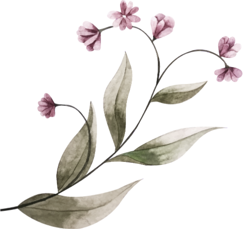 Hoa, lá, lá, lá cây, leaf 3