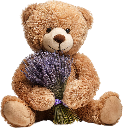 Shape, scrapbook, gấu, bear, teddy bear, gấu bông
