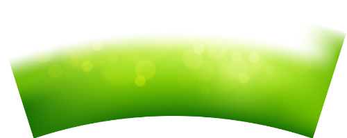 Lá, lá cây, leaf 3