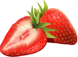 Dâu, strawberry, dâu tây