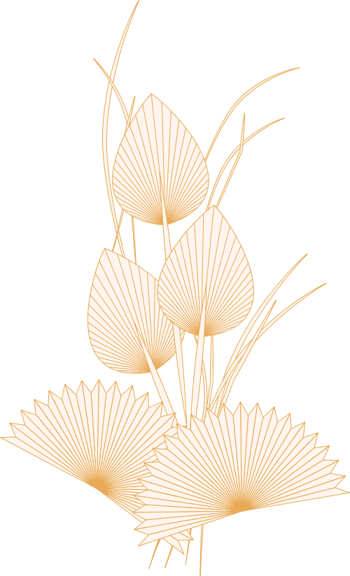 hoa, flower 1