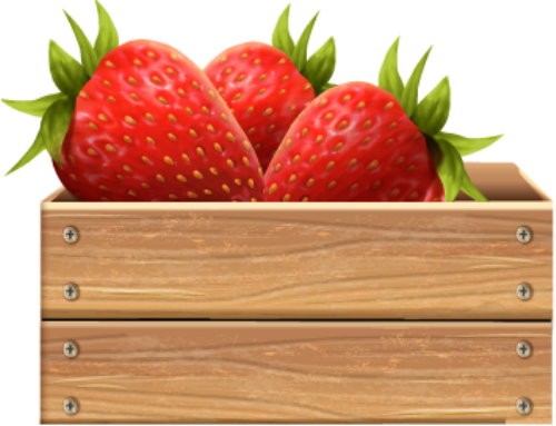 Dâu, strawberry, dâu tây