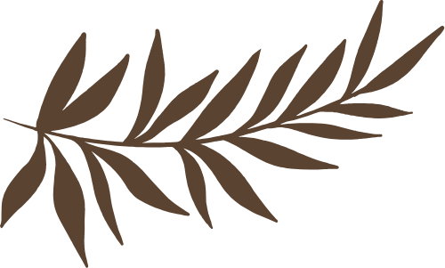 Hoa, lá, lá, lá cây, leaf