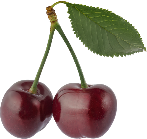 Trái cây, cherry, Fruit, quả anh đào