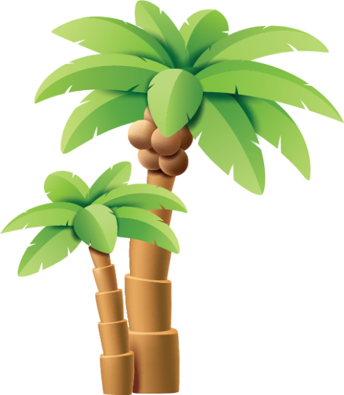 Biển, sea, mùa hè, summer, cây dừa, tree, coconut