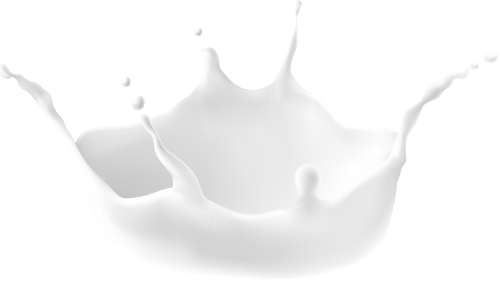 Sữa, milk, 3D