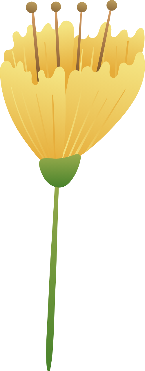 Hoa, flower, hoa lá