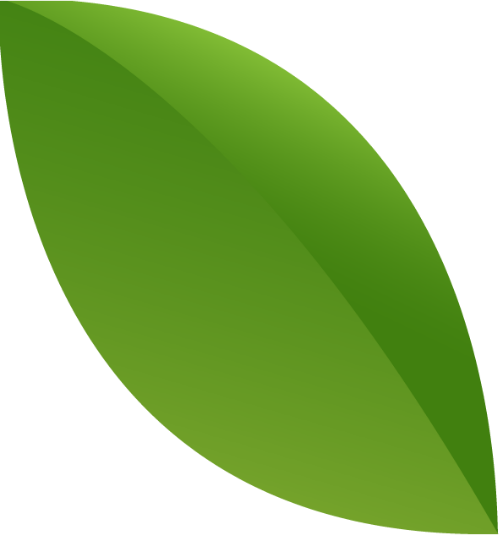 Shape, mảng, lá cây, lá, leaf