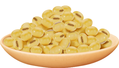 Đậu, peanut, đậu nành, hạt