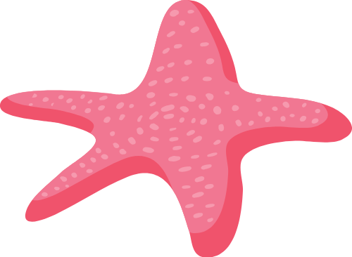 Summer, mùa hè, biển, sea,chim, sao biển, hải sản, starfish, seafood 1