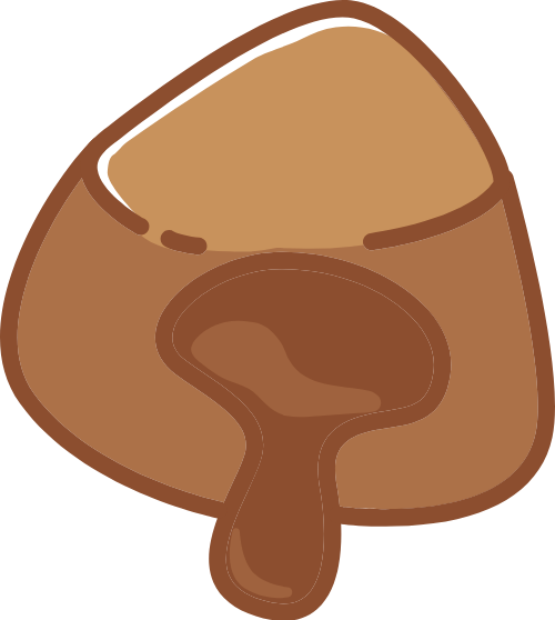 Cute, dễ thương, soloca, chocolate, bánh, cake, hạt dẻ