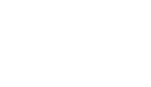 trang trí, lông vũ,decor, feather