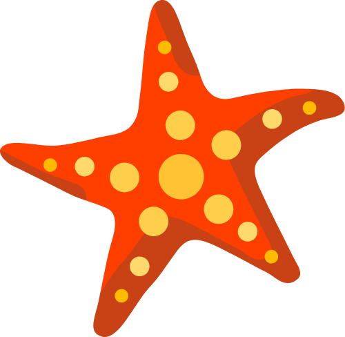 Biển,sea, mùa hè, summer, hải sản, ốc, seafood, starfish