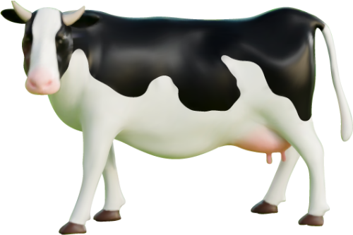 Con bò, bò, cow, bò sữa 4