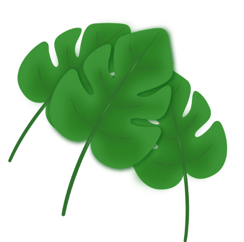 Lá cây, lá, leaf, lá xanh, cây cảnh