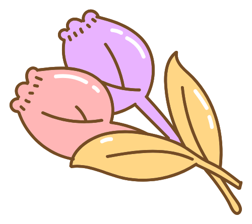 Summer, mùa hè, cute, dễ thương, trái cây, tulip, hoa, flower