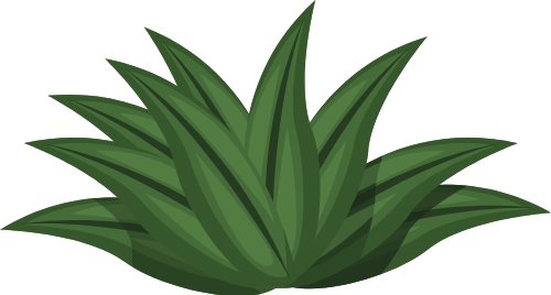 Mùa hè, summer, biển, sea, lá, cỏ,leaves, grass