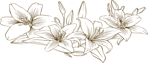 Hoa, đường nét, line, flowers, spa, làm đẹp
