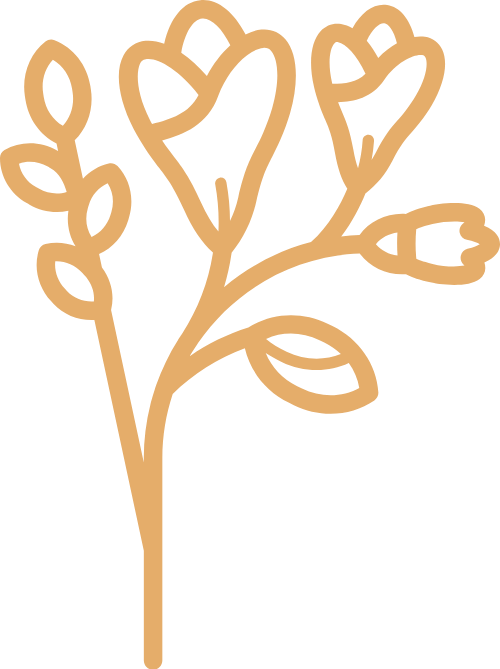 Hoa, lá, lá, lá cây, leaf 1