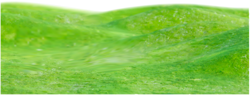 Cỏ, grass, bãi cỏ, đồng cỏ