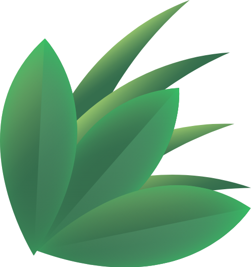 Cỏ, bãi cỏ, bụi cỏ, nền,grass, lawn, grass bush, background