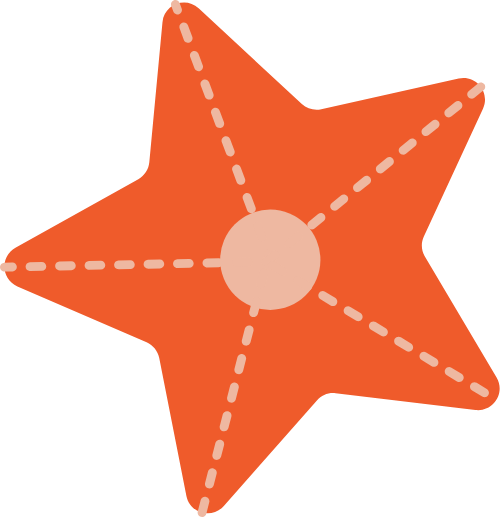 Sao biển, sao, star, starfish