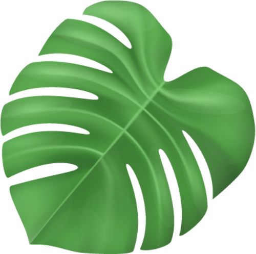 Lá, lá cây, lá xanh, leaf 2