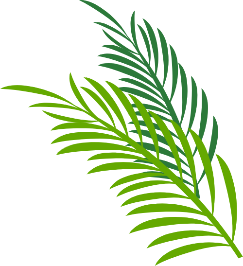 Mùa hè, summer, biển, sea, lá, cỏ,leaves, grass