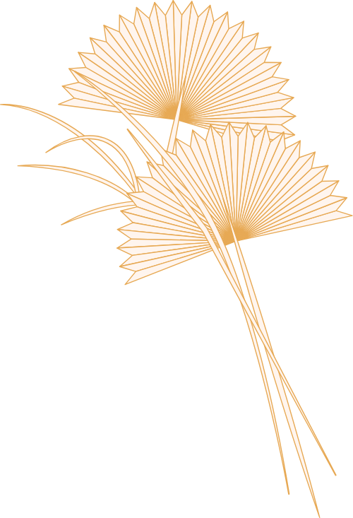 hoa, flower