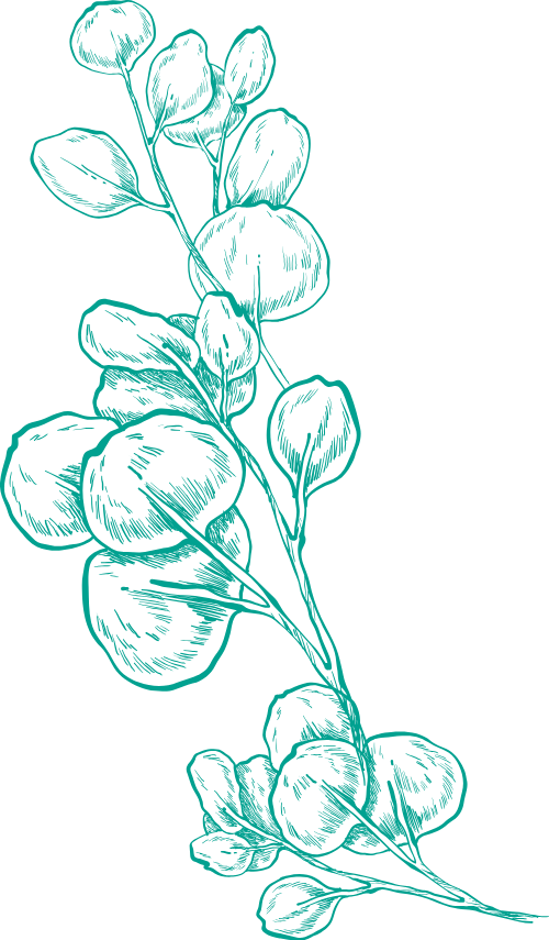 Hoa, đường nét, line, flowers