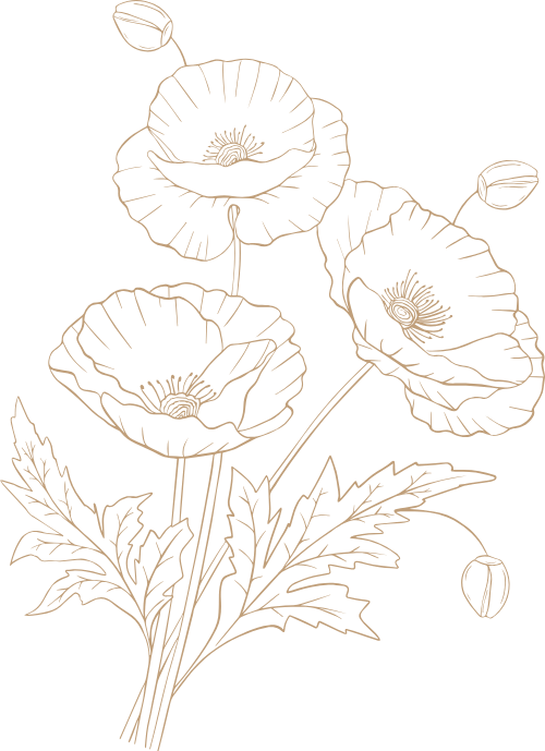 Hoa, đường nét, line, flowers
